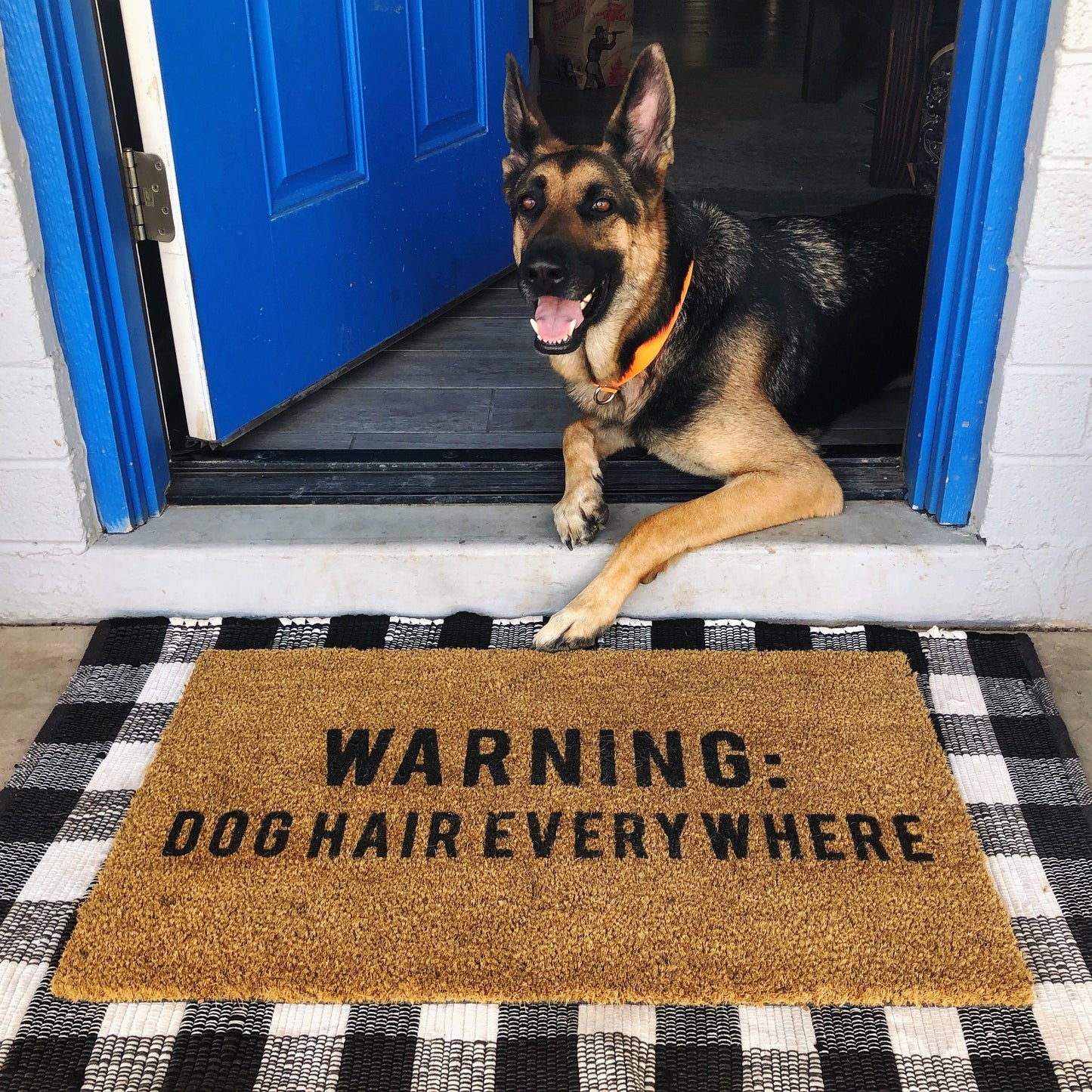 Warning Dog Hair Everywhere Doormat