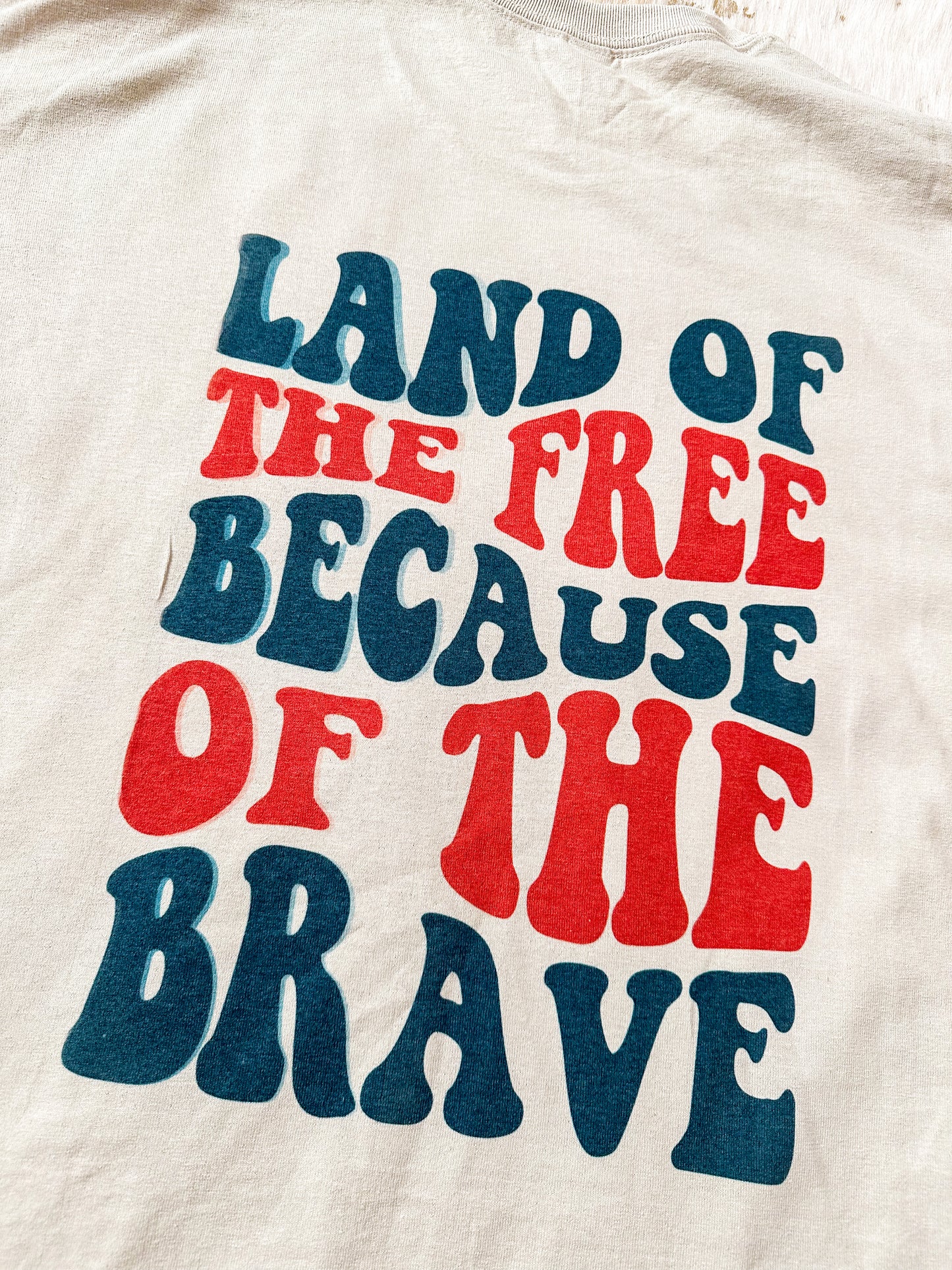 Discounted Land of the Free shirt